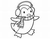 Coloring Scarf Penguin Penguins Coloringcrew Pages sketch template