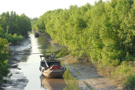 plan  save  mekong delta