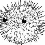 Fish Puffer Coloring Globefish Porcupine Happy sketch template