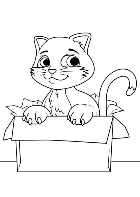 cartoon cat sitting   box