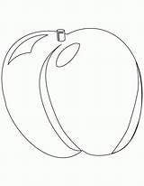 Apricot Albicocca sketch template