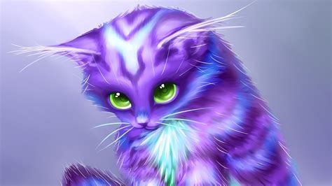 purple cat  green eyes hd purple wallpapers hd wallpapers id
