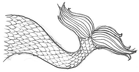mermaid tail coloring page educative printable coloring pages