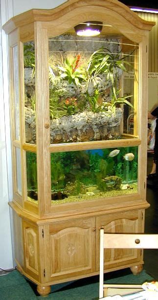 paludarien im schrank fish tank terrarium indoor water