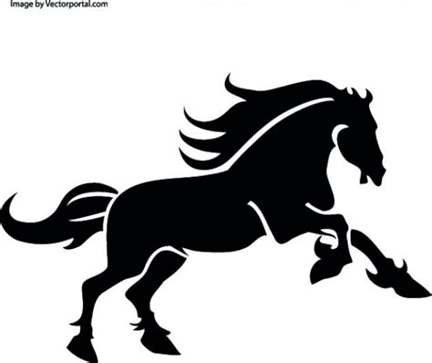 black horse  lateral view vector