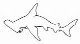 Shark Hammerhead Hammerhai Hai Ausmalen Qbert Paintingvalley Gemerkt Wickedbabesblog sketch template