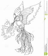 Phoenix Bird Japanese Illustration Tattoo Character Fire Firebird Russian Vector Drawn Legend Chinese Hand Style Fairy Folklore sketch template