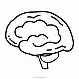Cerebro Teaser Mind sketch template
