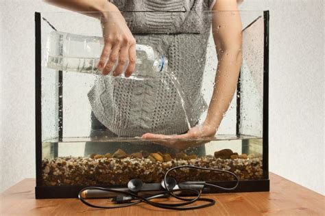 clean  fish tank petsoid
