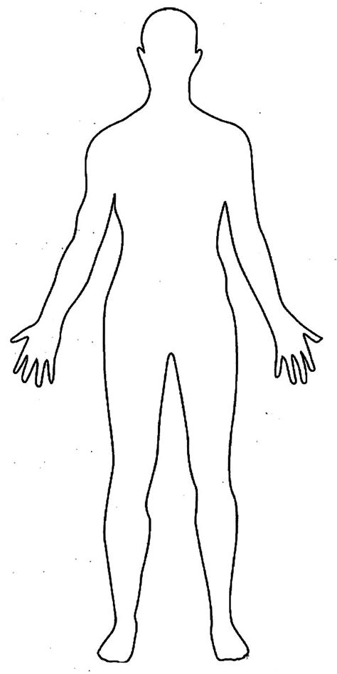 body outline coloring pages   print