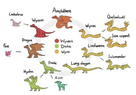 guide   types  dragons rcoolguides