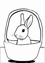 Bunny Basket Coloring Rabbit Pages Easter Colouring Sitting Cute Printable Kids Little Baskets Choose Board sketch template