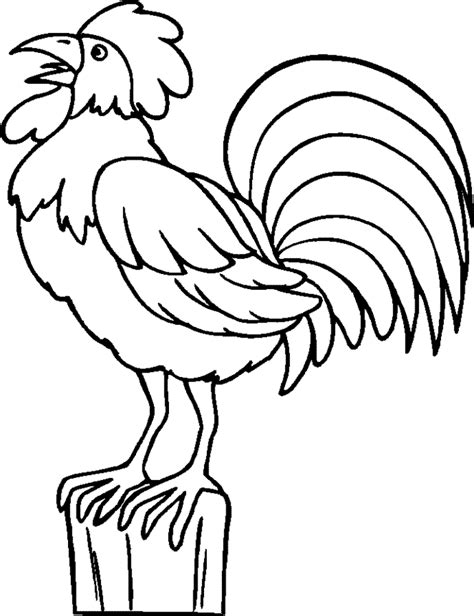 coloring page rooster   coloring page rooster png