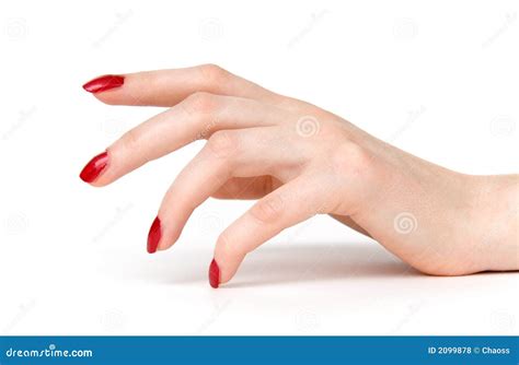 woman hand  red nails side view royalty  stock  image