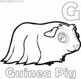 Pig Guinea Pigs sketch template