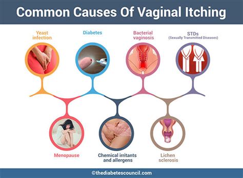 Vaginal Itching But No Discharge Itchy Swollen Vaginal
