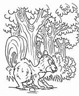 Coloring Forest Skunk sketch template