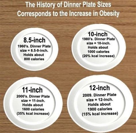 dinner plate sizes portion control food portions plate size