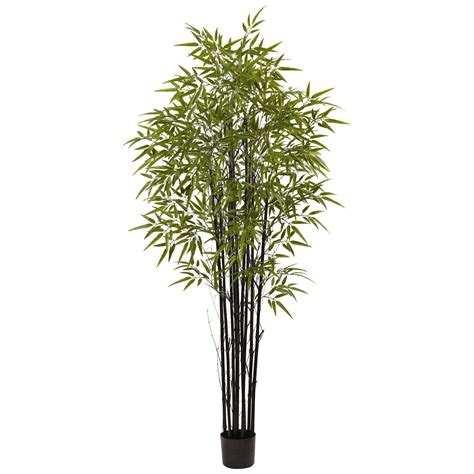 black bamboo tree uv resistant indooroutdoor  natural