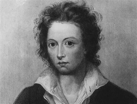 mad facts  percy shelley englands lost poet