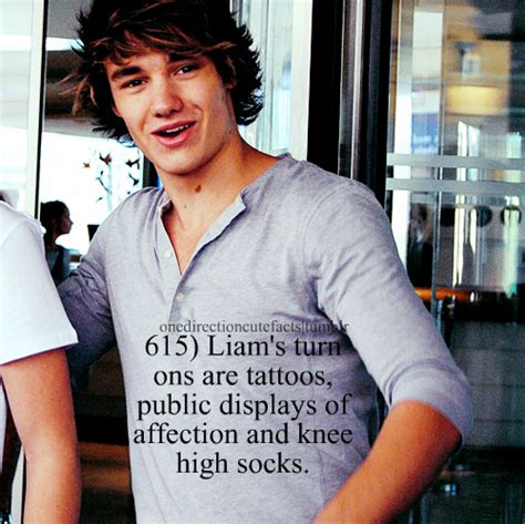 Harry Styles Liam One Direction Sex Image 278686 On
