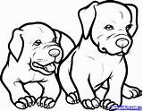 Pitbull Rottweiler Sheets Coloringhome sketch template