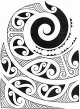 Maori Patterns Polynesian Tatouage Typical Mandala Koru Coquillage Tiki sketch template