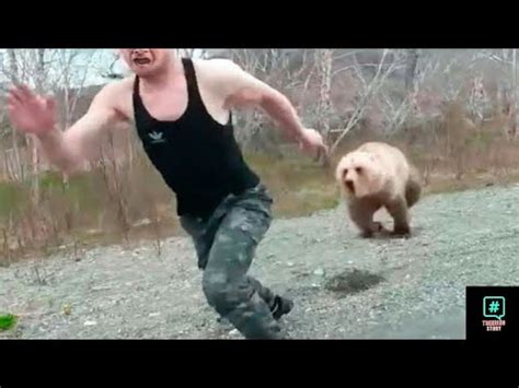 bear chased  man   forest   didnt    waiting    youtube