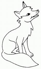 Fuchs Ausmalbilder Clipart Howling Raposa Puppy Drawing Malvorlagen Nimbus Bulkcolor Tod Coyotes Colornimbus sketch template