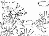 Coloring Bambi Pages Thumper Printable Disney Cool2bkids Getdrawings Kids sketch template