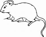 Mouse Coloring Rat Pages Kids Clipart Mice Printable Drawing Print Cute Colouring House Color Mole Template Realistic Rats Supercoloring Sketches sketch template