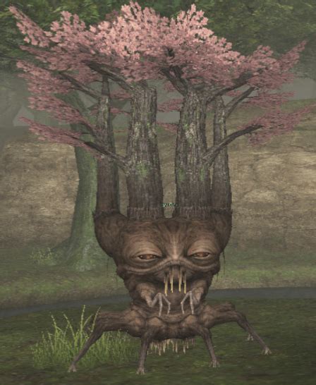 Image Spring Treant Png Ffxiclopedia Fandom Powered By Wikia