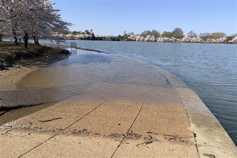 persistent flooding  national malls deteriorating tidal basin