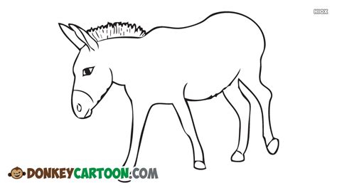 donkey drawing outline  paintingvalleycom explore collection