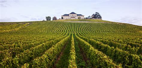 schloss johannisberg unique wineries   world vinum