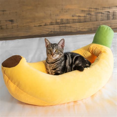 Cute Banana Cat Bed – Meowingtons