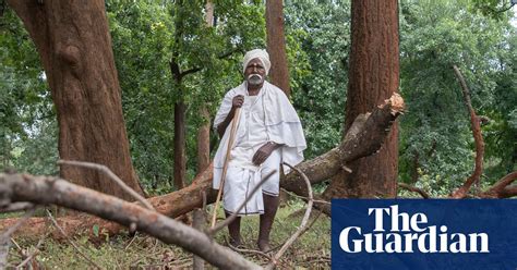 The Forest Is Everything Indigenous Tribes In India Battle To Save
