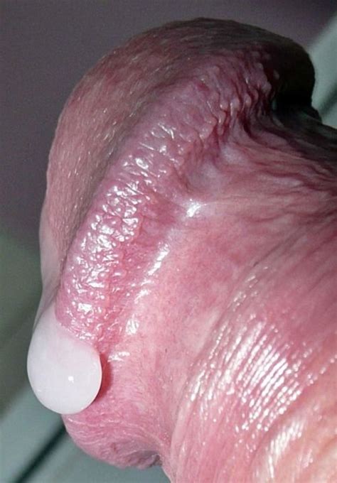 Close Up Cock Head Squirting Cum