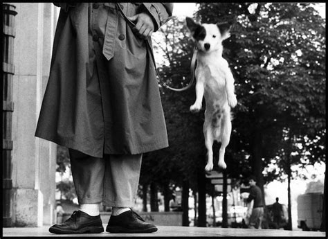 photographer spotlight elliott erwitt adventures  yoo