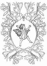 Spring Fairy Flower Coloring Fairies Pages Activities Cicely Mary Flowerfairies Sheets Barker Colouring Crafts Fun Girls Adults Themed sketch template