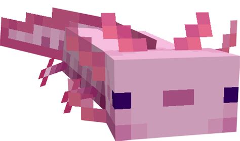 Axolotls Replica Concept Minecraft Pe Addon 1 16