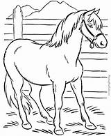 Coloring Pages Horse Print Animal Printable Animals Color Sheets Help Kids Printing Horses sketch template