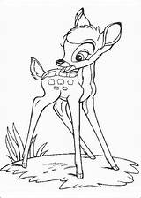 Pages Coloring Faline Bambi Disney Getcolorings Color Printable sketch template