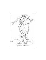 Coloring Pages Stallion Cimarron Spirit sketch template