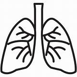 Lungs Organ Iconfinder sketch template