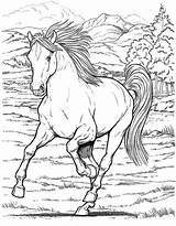 Coloriage Chevaux Sauvage Horses Cheval Animal Animaux Paysage Letscolorit Heste Konie Tegninger Supercoloriage Sauvages Wildpferde Getdrawings Pferde Wilde Malvorlage Adulte sketch template