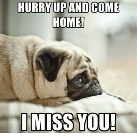 50 Cutest I Miss You Memes Of All Time For People You Care For