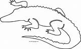 Alligator Crocodile Wecoloringpage sketch template