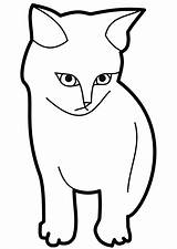 Cat Outline Coloring Clipart Kitten Pages Printable Face Template Drawing Clip Sitting Kitty Kids Cliparts Small Nose Coloring4free Pet Color sketch template