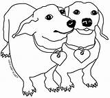 Dachshund Dachshunds Wiener Pups Puppies Wallpaperartdesignhd sketch template